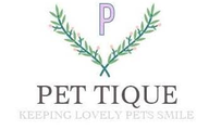 PET TIQUE (라이프스타일/유통)